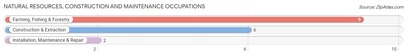 Natural Resources, Construction and Maintenance Occupations in Zip Code 52308