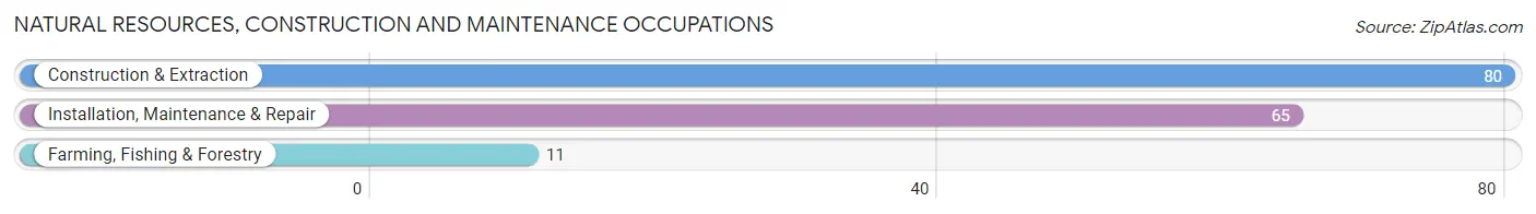 Natural Resources, Construction and Maintenance Occupations in Zip Code 52342