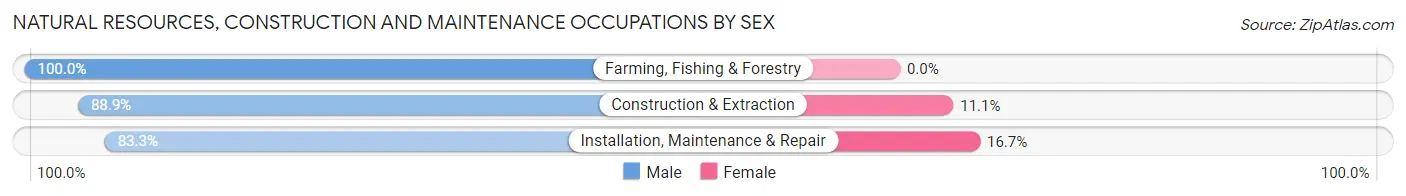 Natural Resources, Construction and Maintenance Occupations by Sex in Zip Code 52347