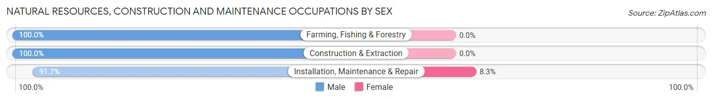 Natural Resources, Construction and Maintenance Occupations by Sex in Zip Code 52540