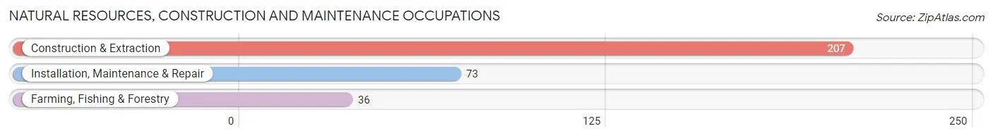 Natural Resources, Construction and Maintenance Occupations in Zip Code 52544