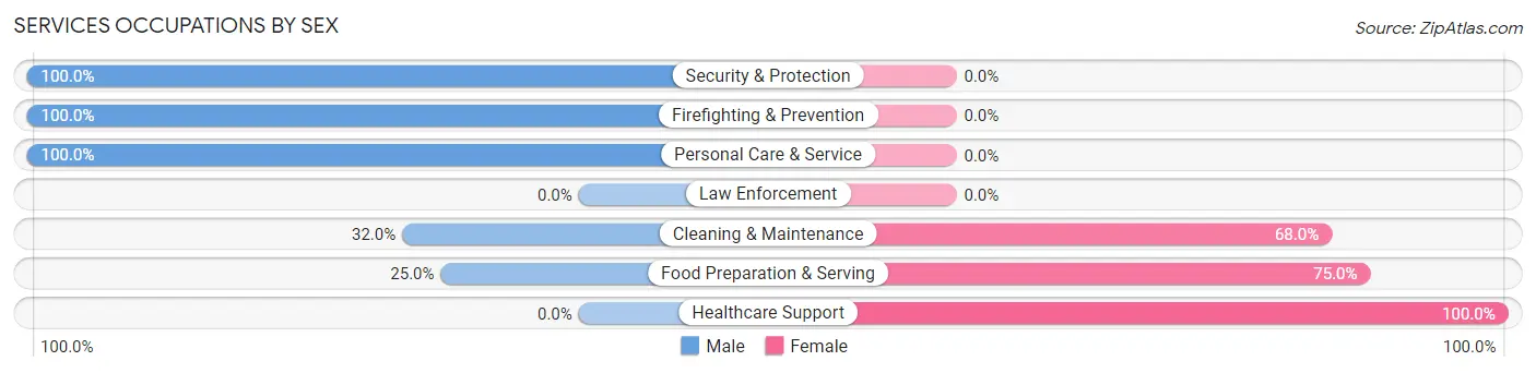 Services Occupations by Sex in Zip Code 52553