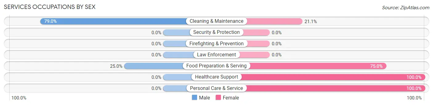 Services Occupations by Sex in Zip Code 52574