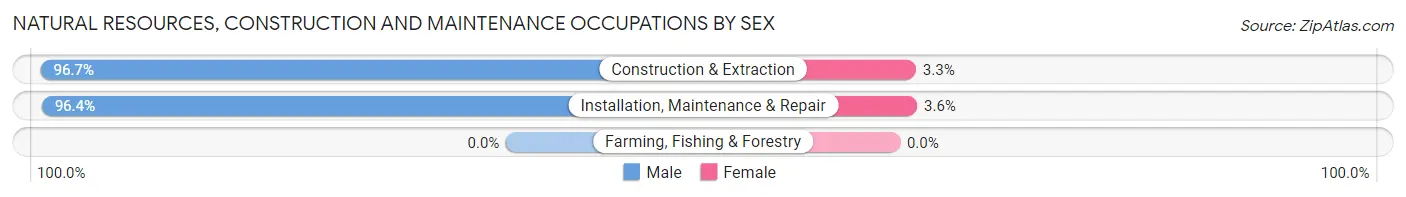 Natural Resources, Construction and Maintenance Occupations by Sex in Zip Code 52621