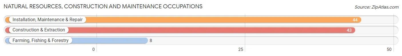 Natural Resources, Construction and Maintenance Occupations in Zip Code 52625