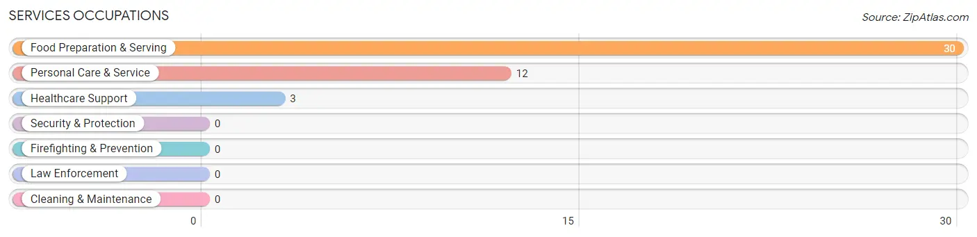 Services Occupations in Zip Code 52728