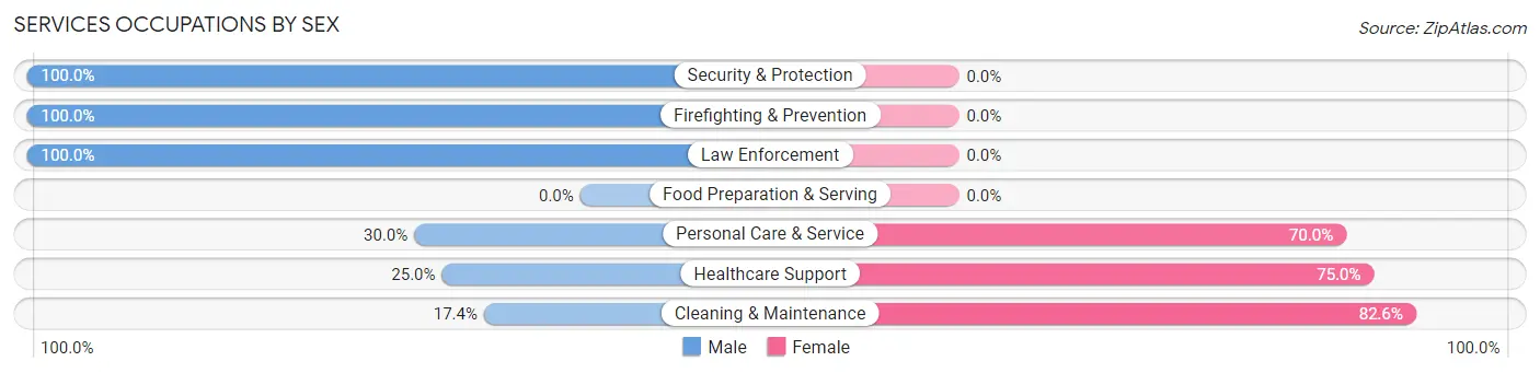 Services Occupations by Sex in Zip Code 52756
