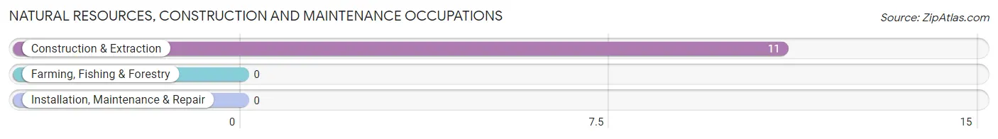 Natural Resources, Construction and Maintenance Occupations in Zip Code 52767