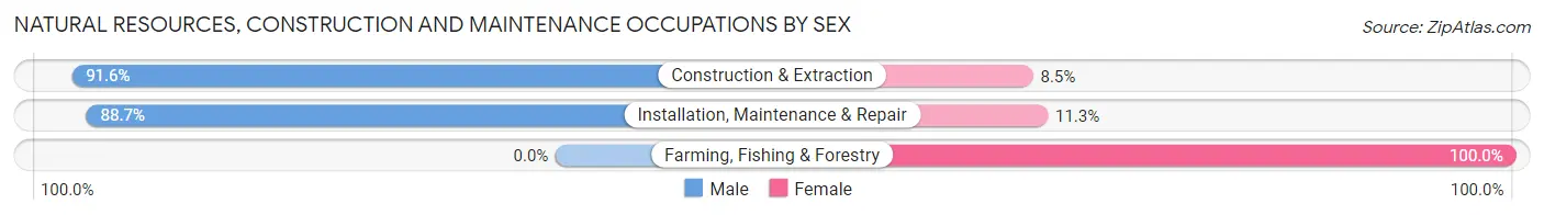 Natural Resources, Construction and Maintenance Occupations by Sex in Zip Code 52802