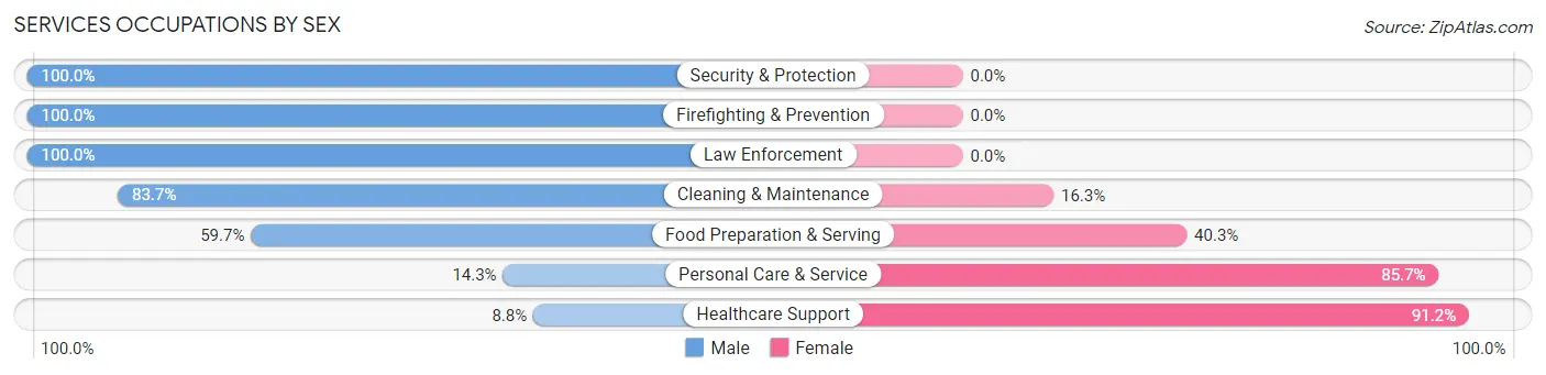 Services Occupations by Sex in Zip Code 53013