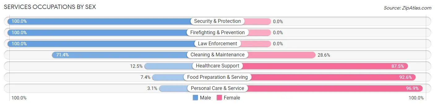 Services Occupations by Sex in Zip Code 53032