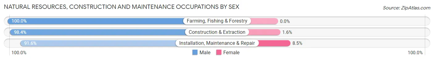 Natural Resources, Construction and Maintenance Occupations by Sex in Zip Code 53035