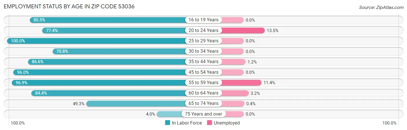 Employment Status by Age in Zip Code 53036