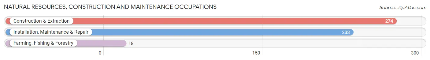 Natural Resources, Construction and Maintenance Occupations in Zip Code 53040