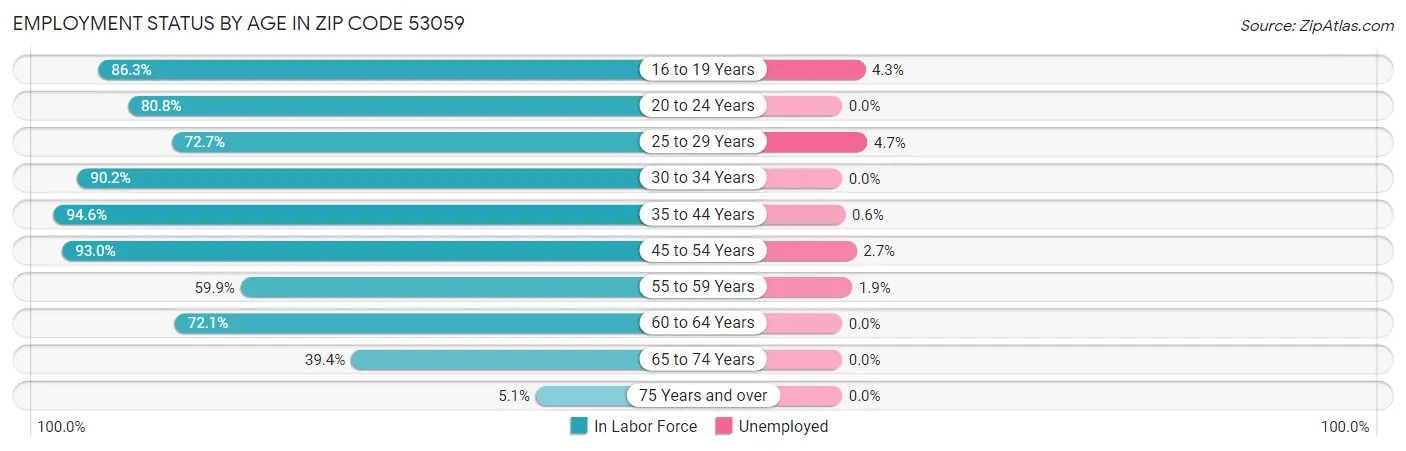 Employment Status by Age in Zip Code 53059