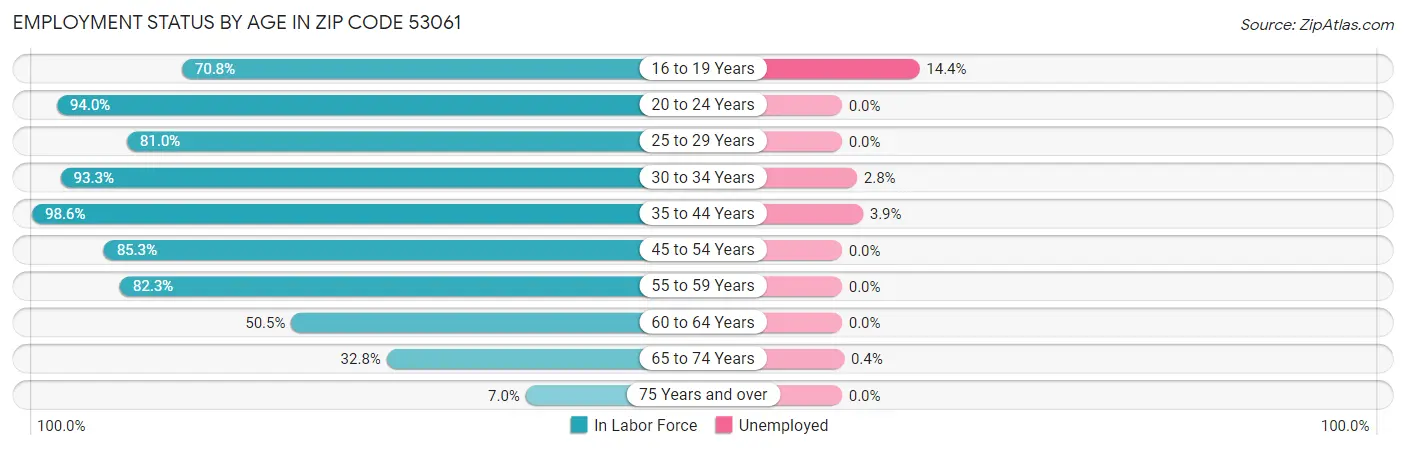 Employment Status by Age in Zip Code 53061