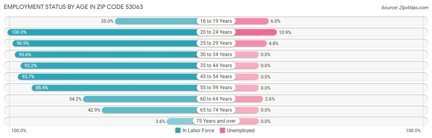 Employment Status by Age in Zip Code 53063