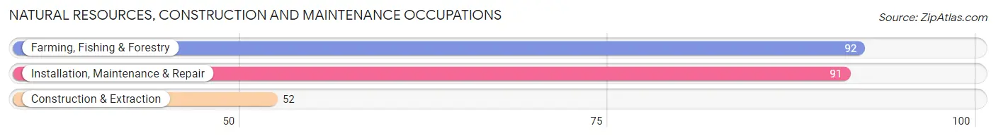 Natural Resources, Construction and Maintenance Occupations in Zip Code 53063