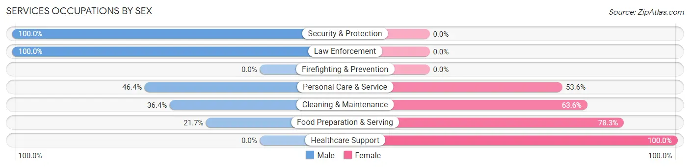 Services Occupations by Sex in Zip Code 53063