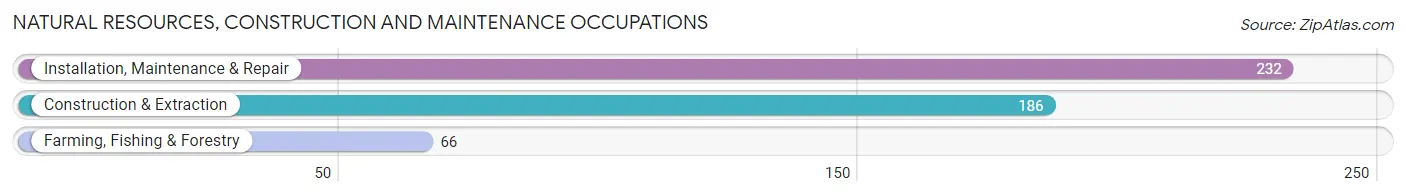 Natural Resources, Construction and Maintenance Occupations in Zip Code 53085