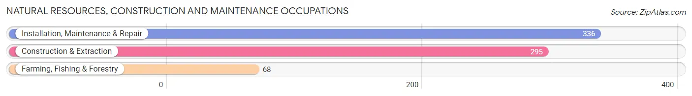 Natural Resources, Construction and Maintenance Occupations in Zip Code 53098