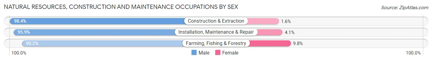 Natural Resources, Construction and Maintenance Occupations by Sex in Zip Code 53115