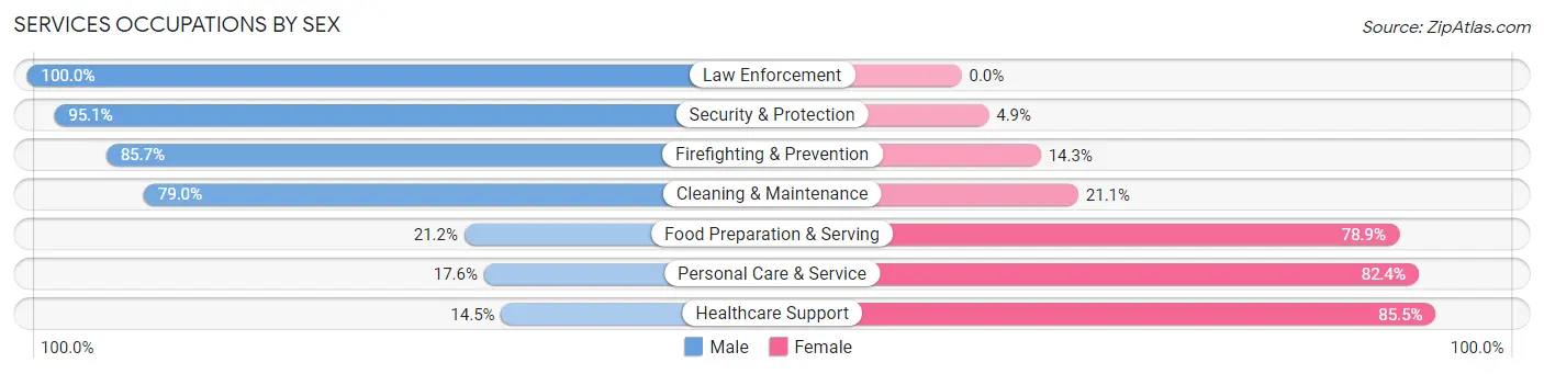 Services Occupations by Sex in Zip Code 53118