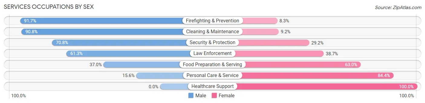Services Occupations by Sex in Zip Code 53119