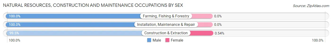 Natural Resources, Construction and Maintenance Occupations by Sex in Zip Code 53120