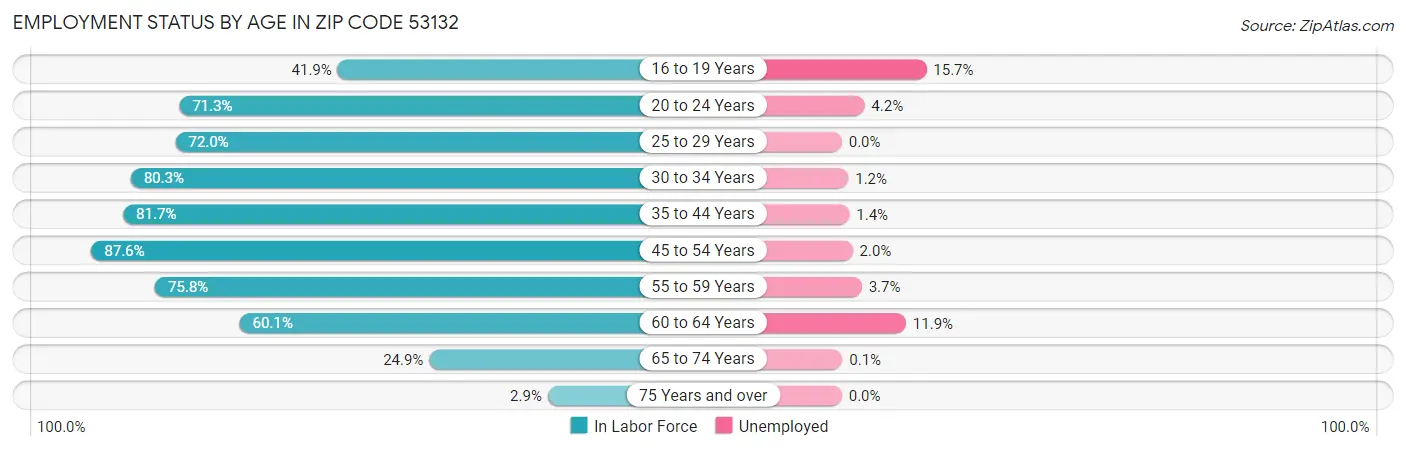 Employment Status by Age in Zip Code 53132