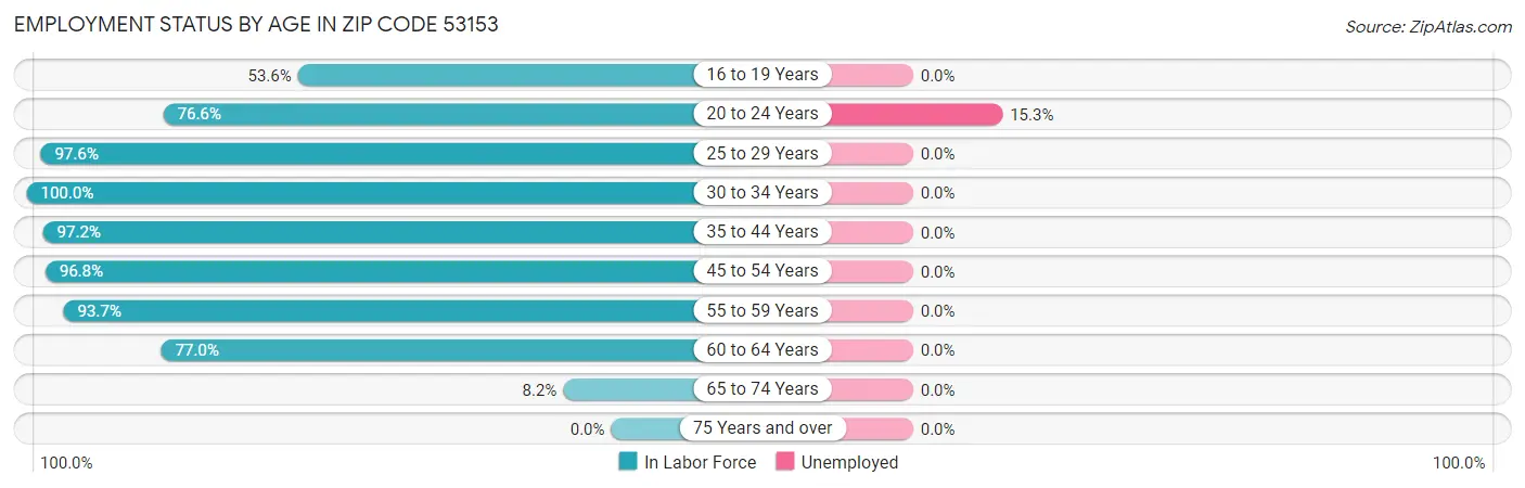 Employment Status by Age in Zip Code 53153