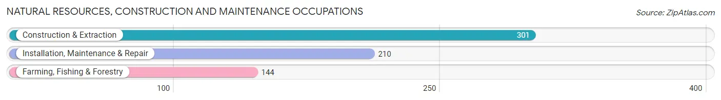 Natural Resources, Construction and Maintenance Occupations in Zip Code 53158