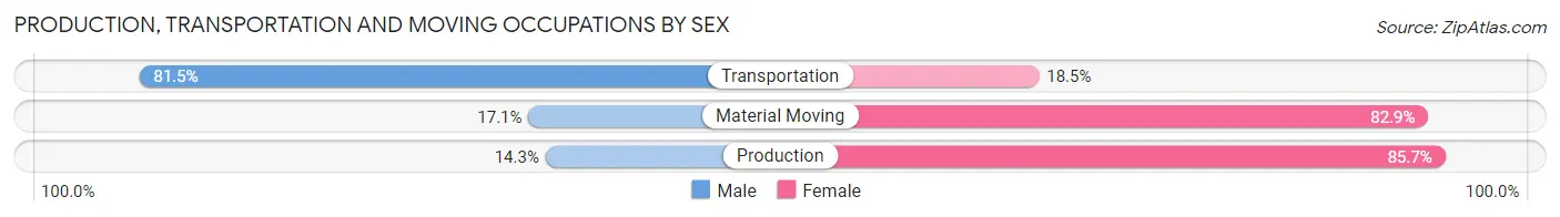 Production, Transportation and Moving Occupations by Sex in Zip Code 53170