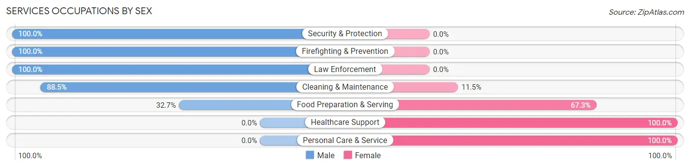 Services Occupations by Sex in Zip Code 53178