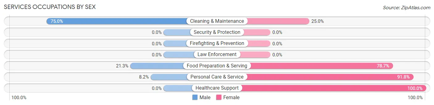 Services Occupations by Sex in Zip Code 53179