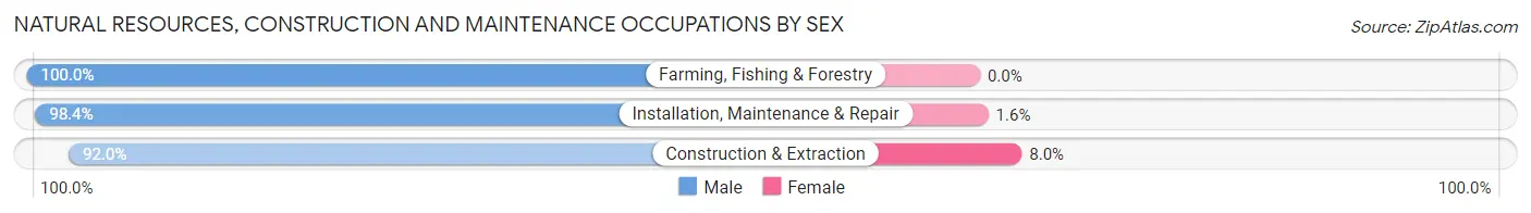 Natural Resources, Construction and Maintenance Occupations by Sex in Zip Code 53182