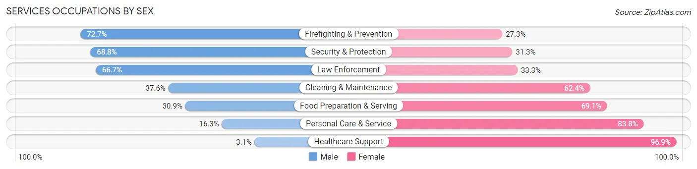 Services Occupations by Sex in Zip Code 53182