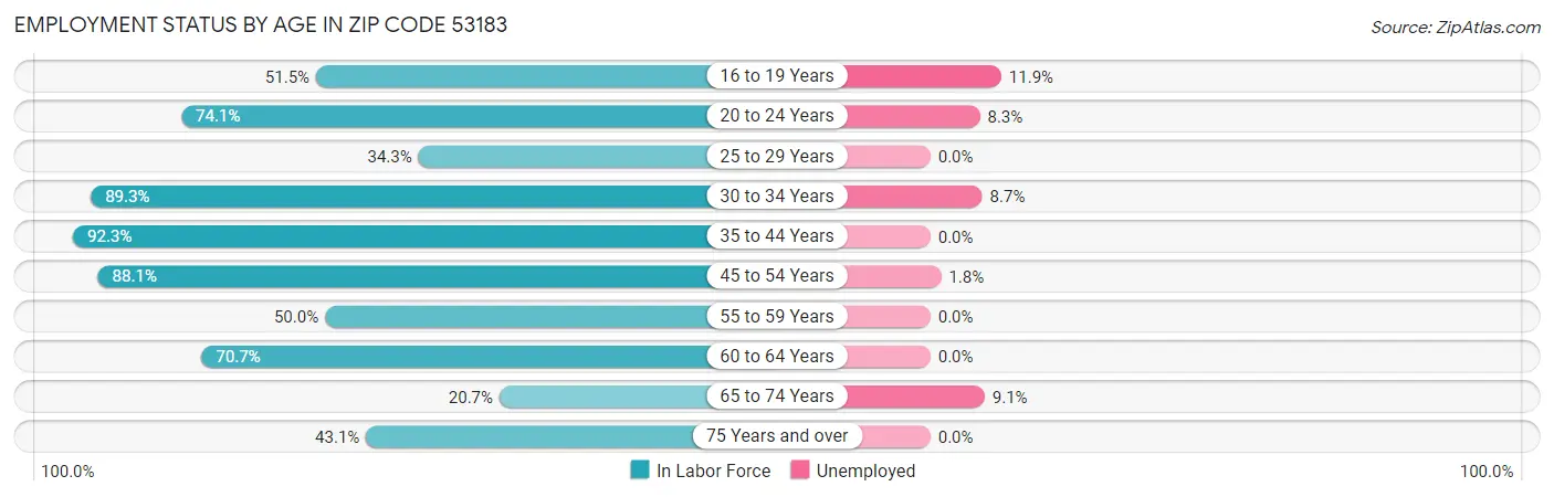 Employment Status by Age in Zip Code 53183