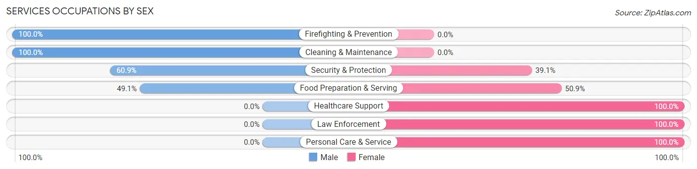 Services Occupations by Sex in Zip Code 53183