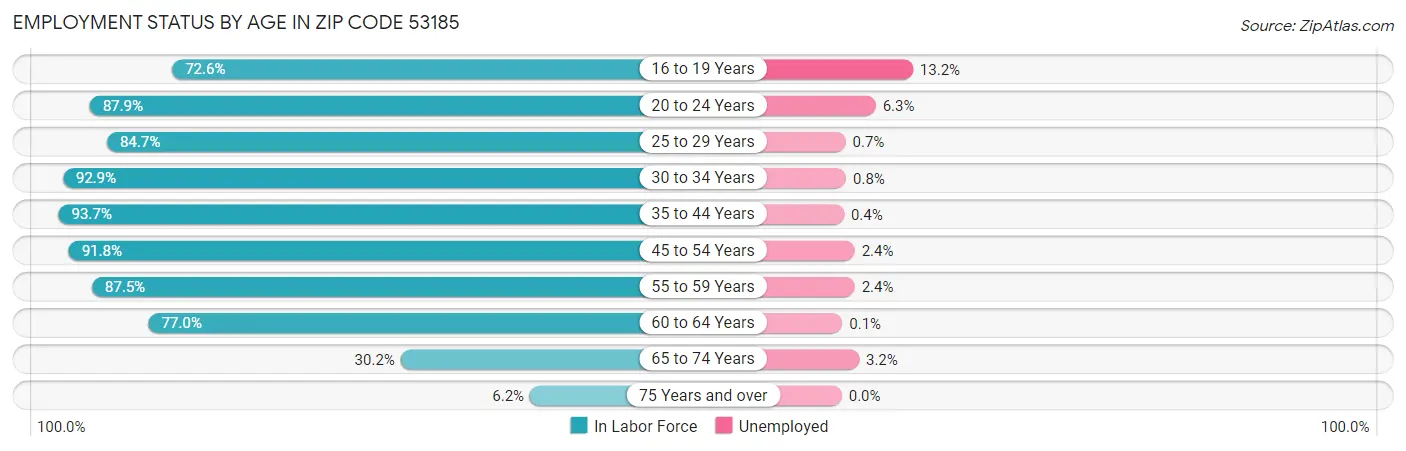 Employment Status by Age in Zip Code 53185