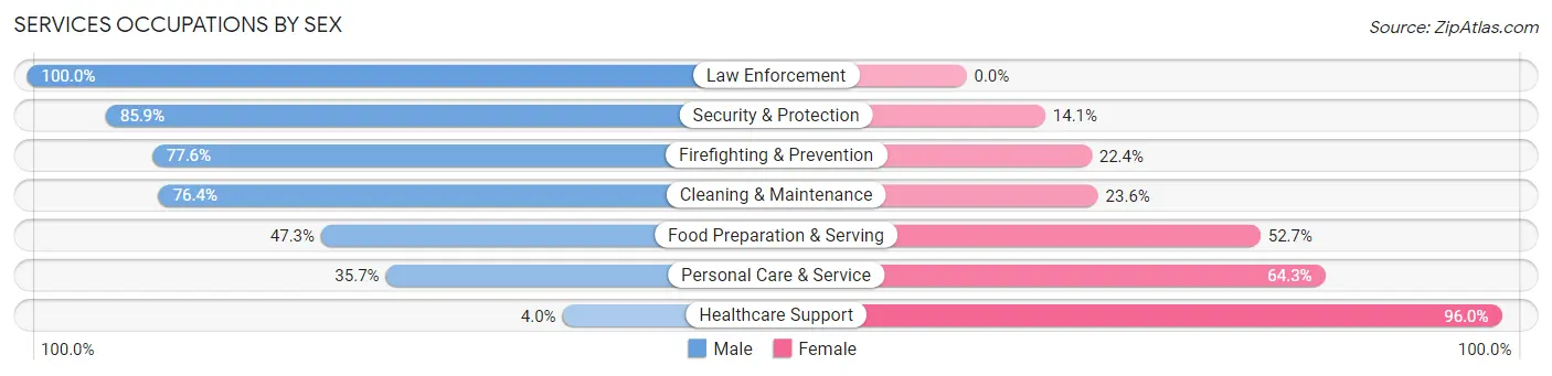 Services Occupations by Sex in Zip Code 53189