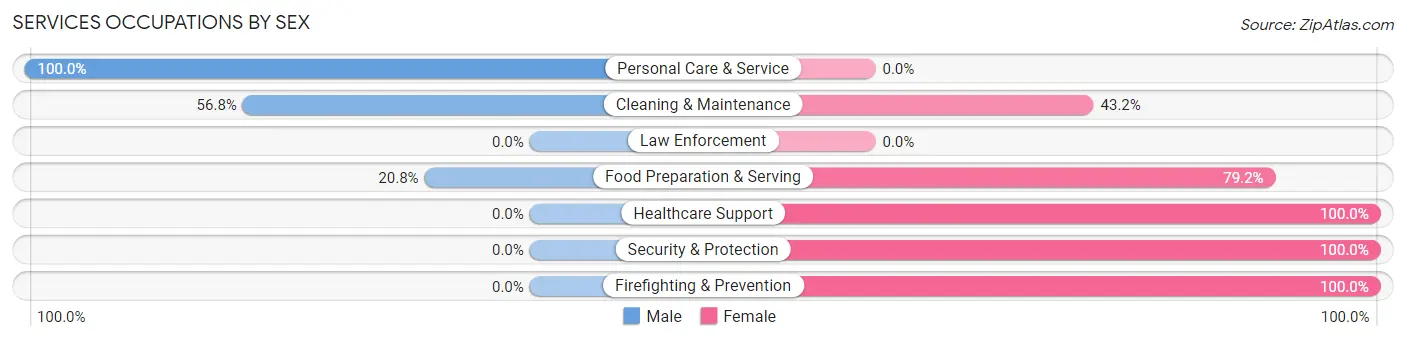 Services Occupations by Sex in Zip Code 53191