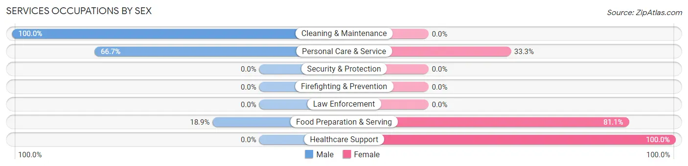 Services Occupations by Sex in Zip Code 53203