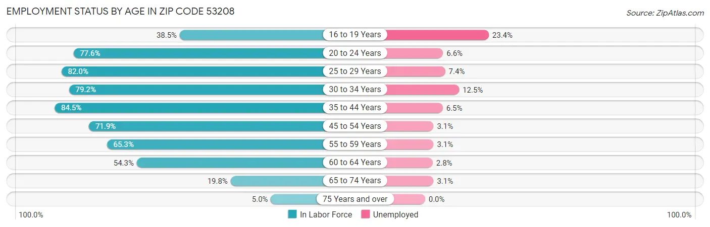 Employment Status by Age in Zip Code 53208