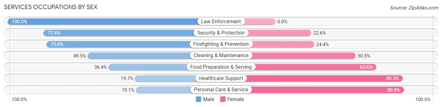 Services Occupations by Sex in Zip Code 53233