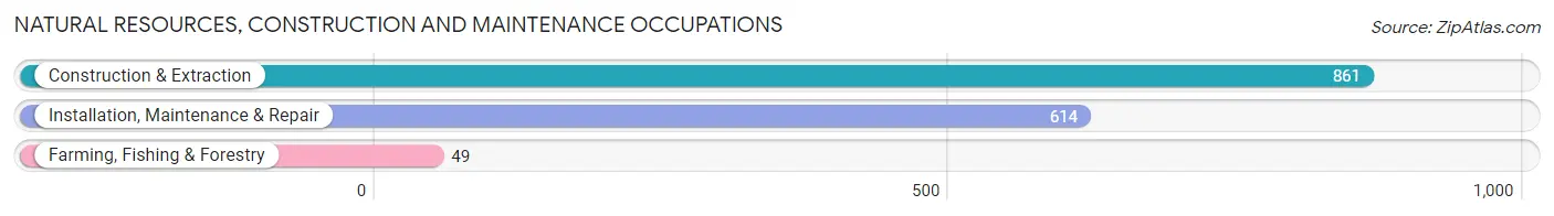 Natural Resources, Construction and Maintenance Occupations in Zip Code 53402