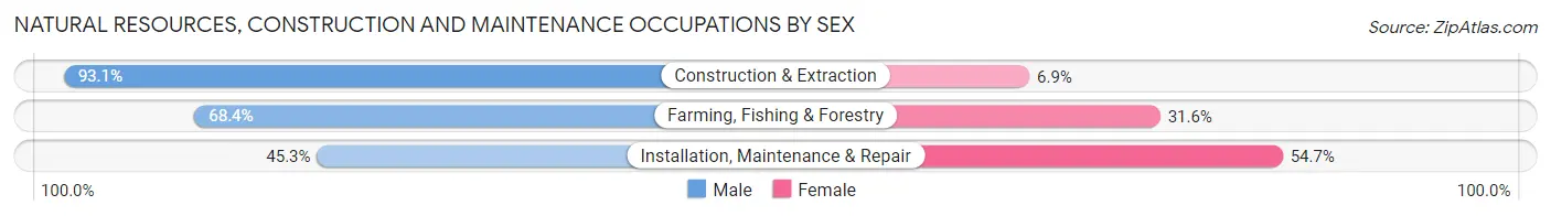 Natural Resources, Construction and Maintenance Occupations by Sex in Zip Code 53503
