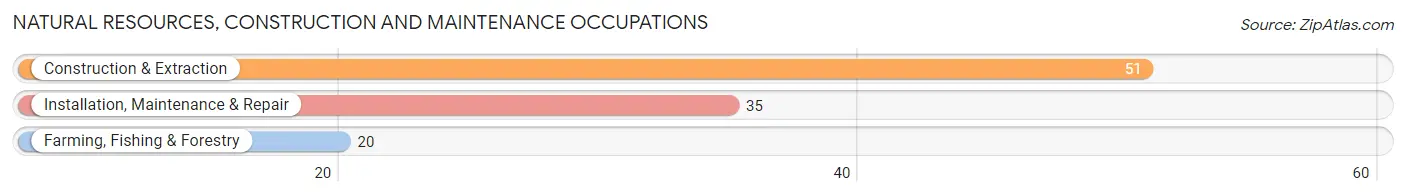 Natural Resources, Construction and Maintenance Occupations in Zip Code 53510