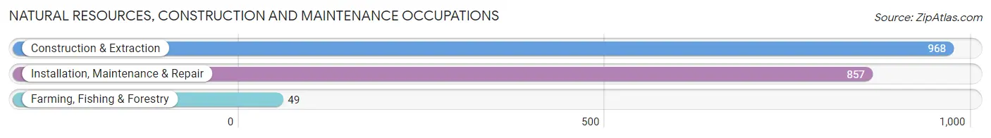 Natural Resources, Construction and Maintenance Occupations in Zip Code 53511