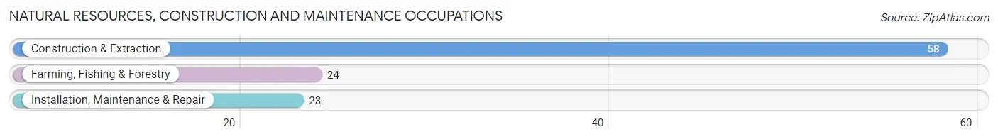 Natural Resources, Construction and Maintenance Occupations in Zip Code 53517